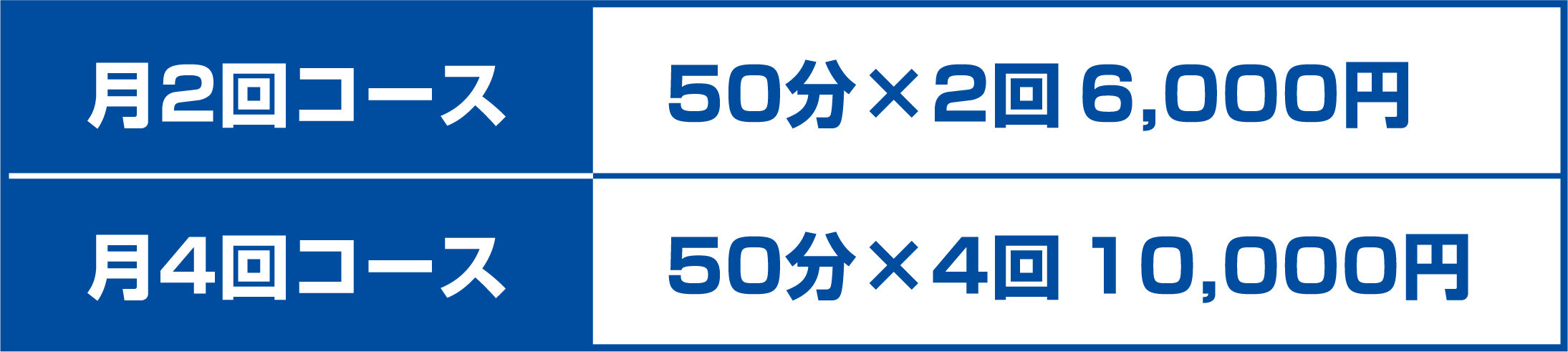 月2回コース 50分×2回6,000円